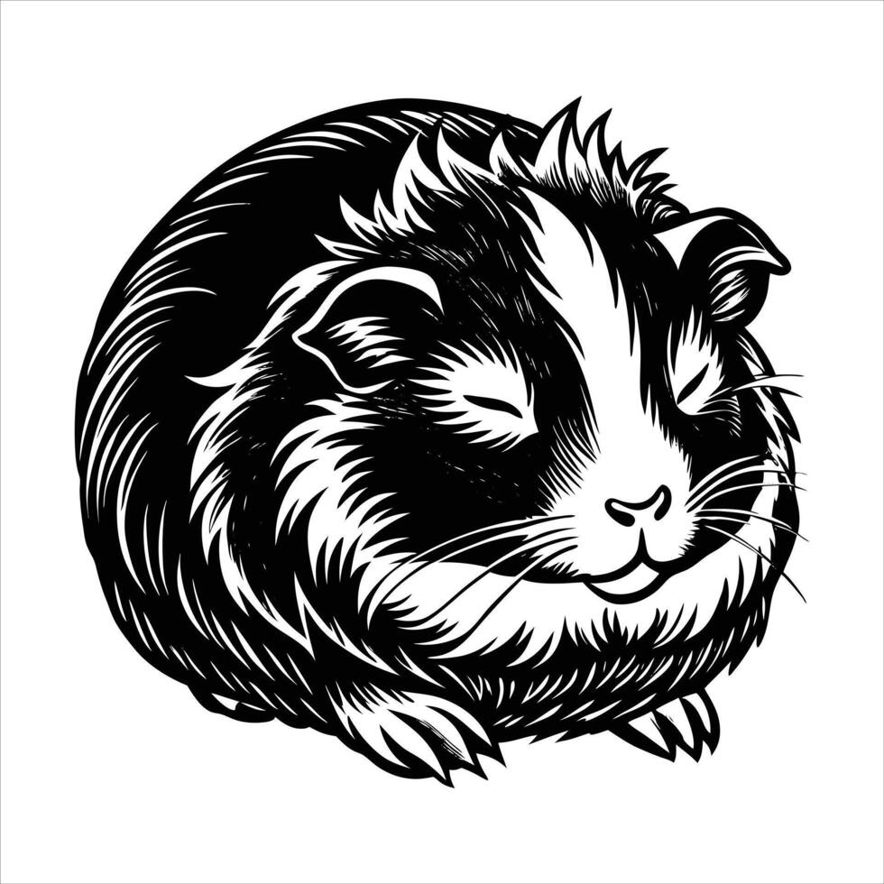 sleepy guinea pig curled vector