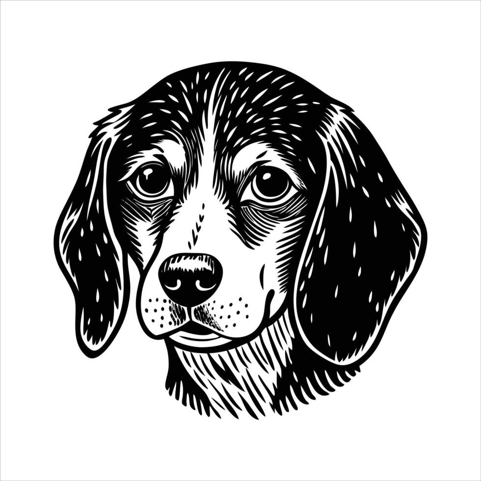 Wet Beagle Dog vector