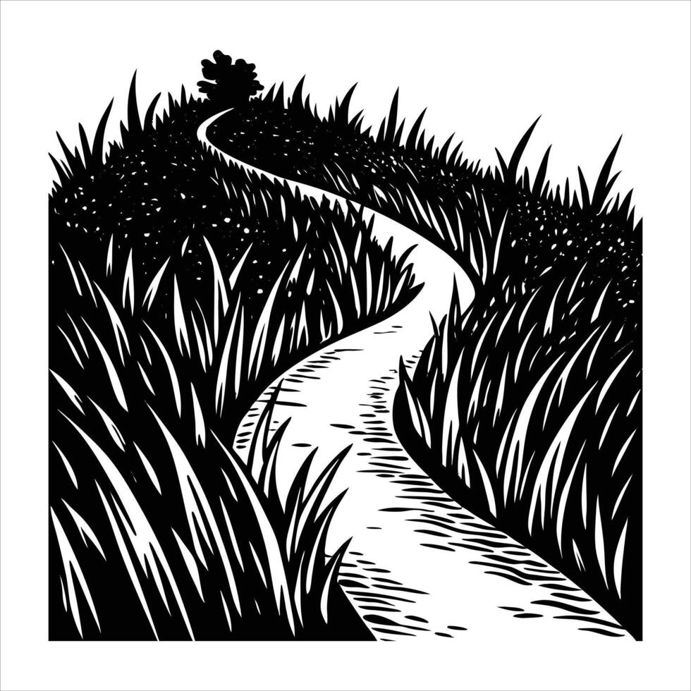 path winding through tall uncut grass vector