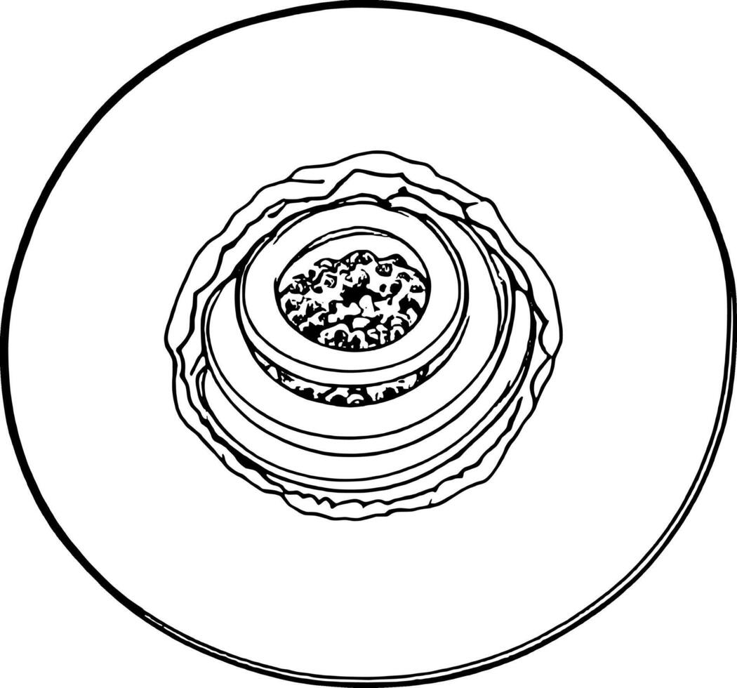Elegant Black And White Food Illustration Of A Circular Dish With A Grain-Like Filling vector