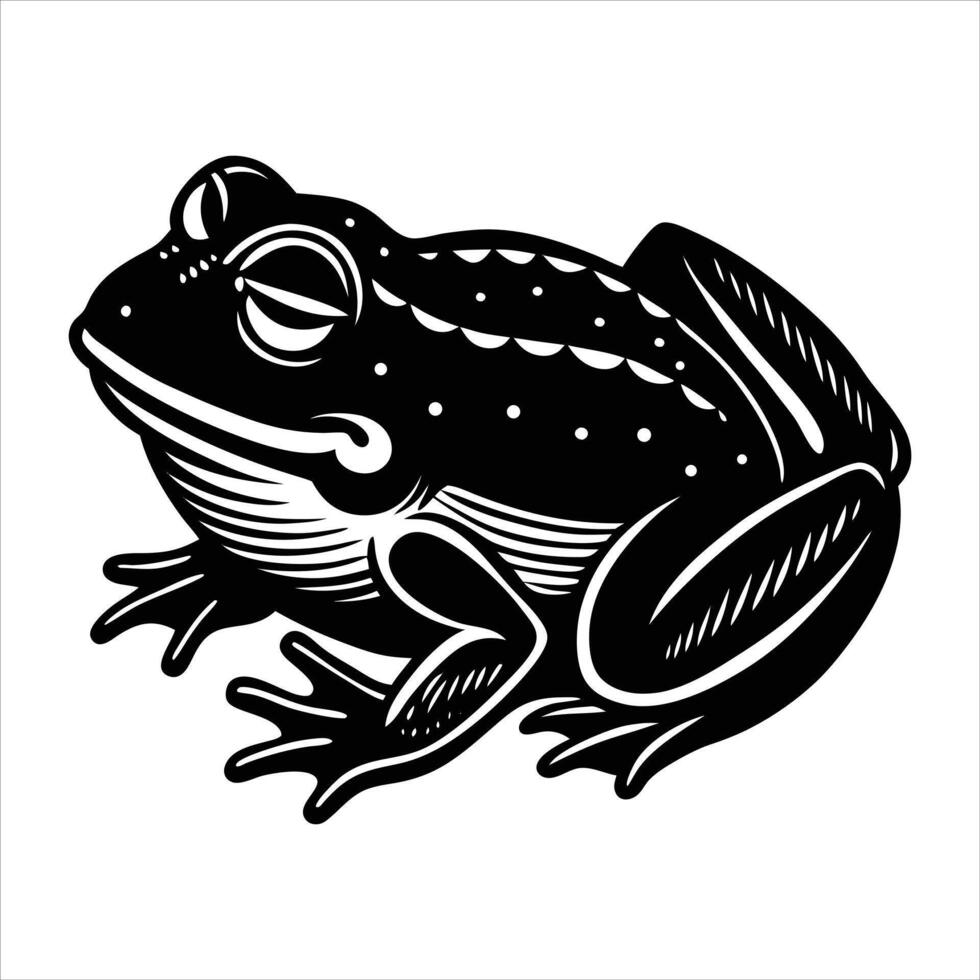 Sleeping Frog Vectors