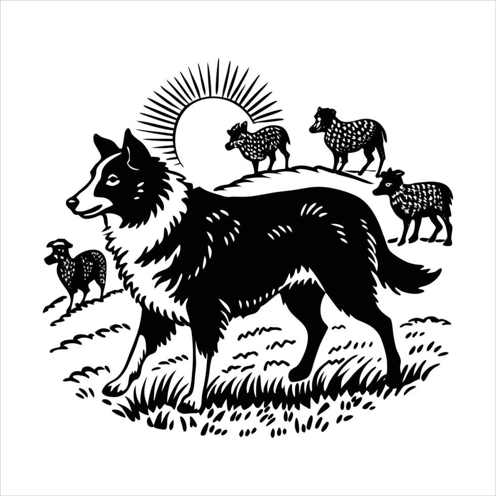 Border Collie herding sheep vector