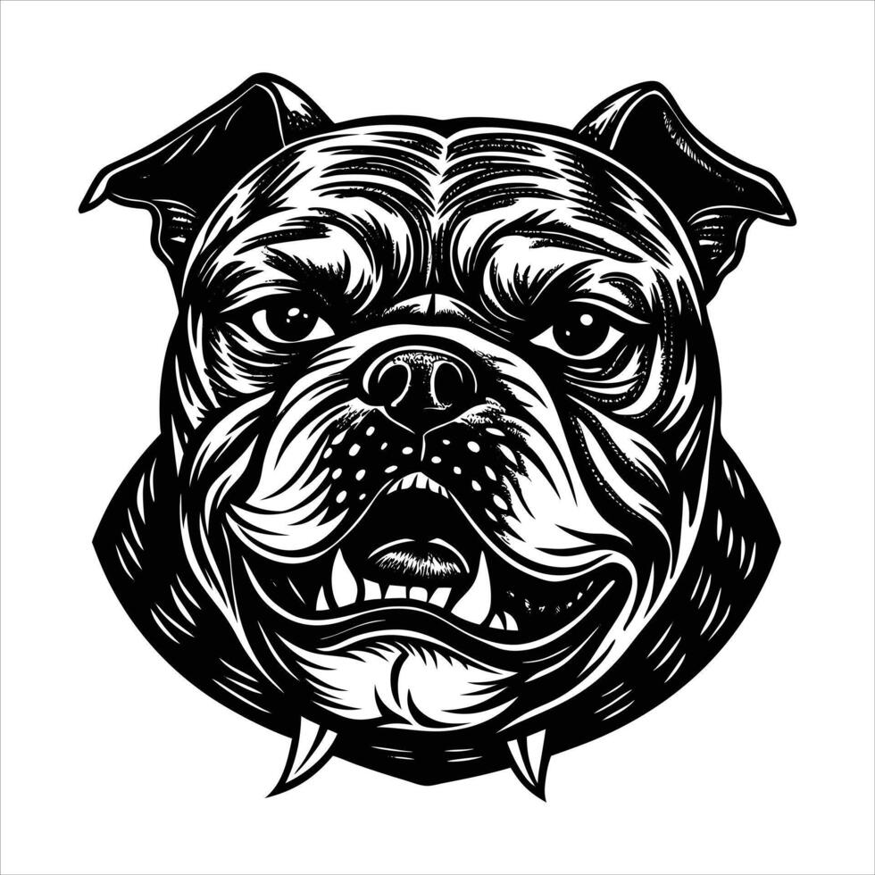sketchbook bulldog drawing rough vector