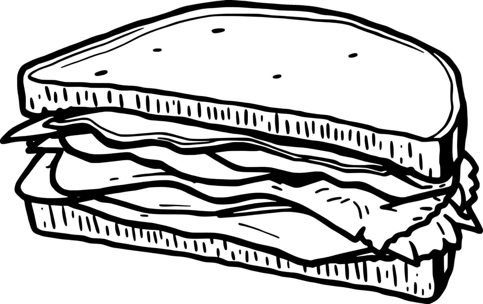 Detailed Line Drawing Of A Single Bulb Of Garlic With Cloves vector