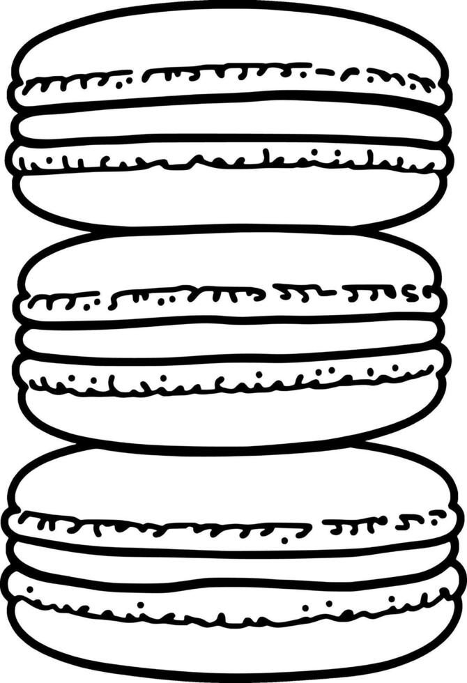 A Detailed Ink Drawing Of A Sliced Kiwi Fruit vector