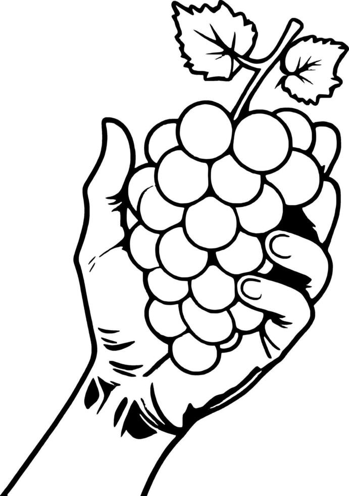 Hand Holding a Bunch of Ripe Yellow Grapes with Green Leaves on a Artistically D vector