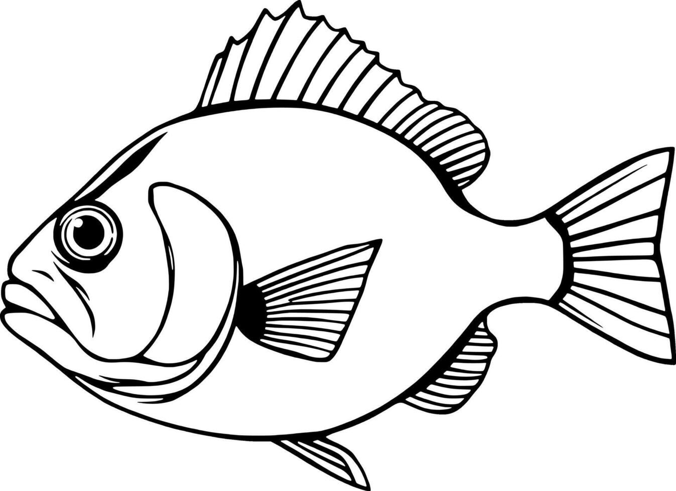 Detailed Line Drawing Of A Single Fish Aquatic Life Illustration vector