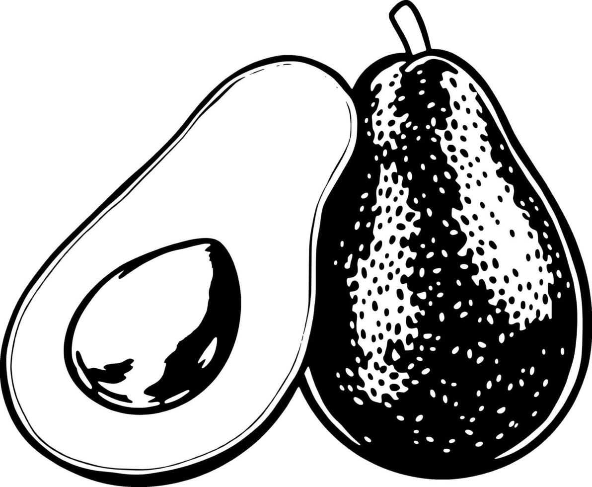 Halved Avocado And Whole Avocado Illustration vector