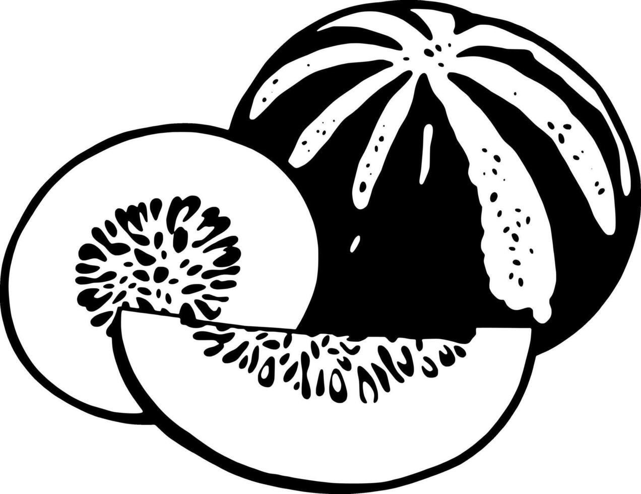 Black And White Illustration Of Summer Melons A Half A Slice And A Whole vector