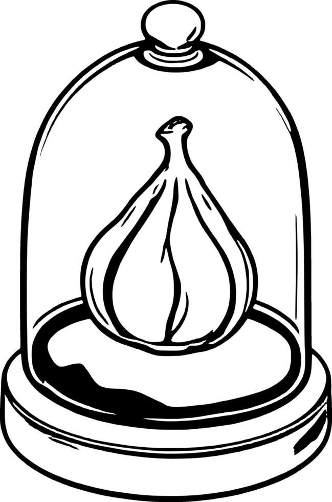 Elegant Garlic Bulb Displayed Under Glass Cloche Black And White Line Art Illustration vector