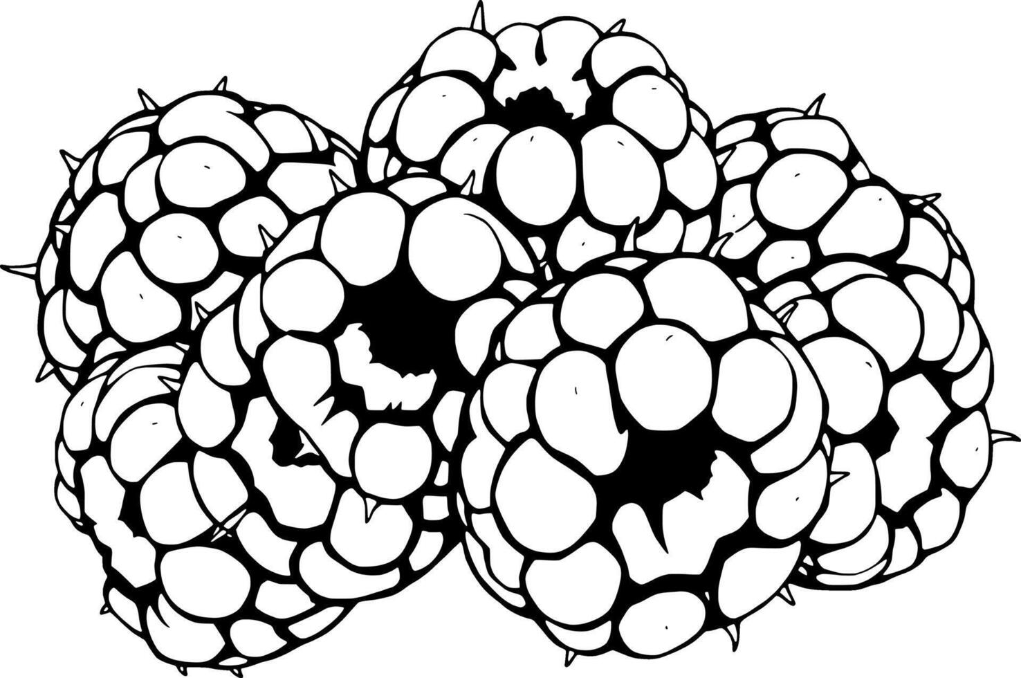 A Cluster Of Fresh Raspberries Black And White Illustration vector