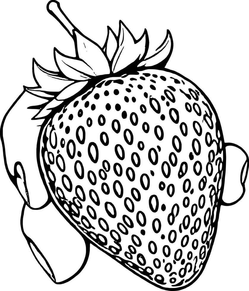 Stylized Strawberry Illustration With Yellow Seeds And Black Outline On vector
