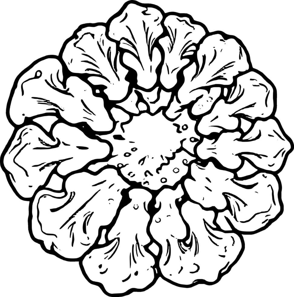 Vibrant Yellow Marigold Blossom Illustration with Detailed Petals and Black Outlines vector