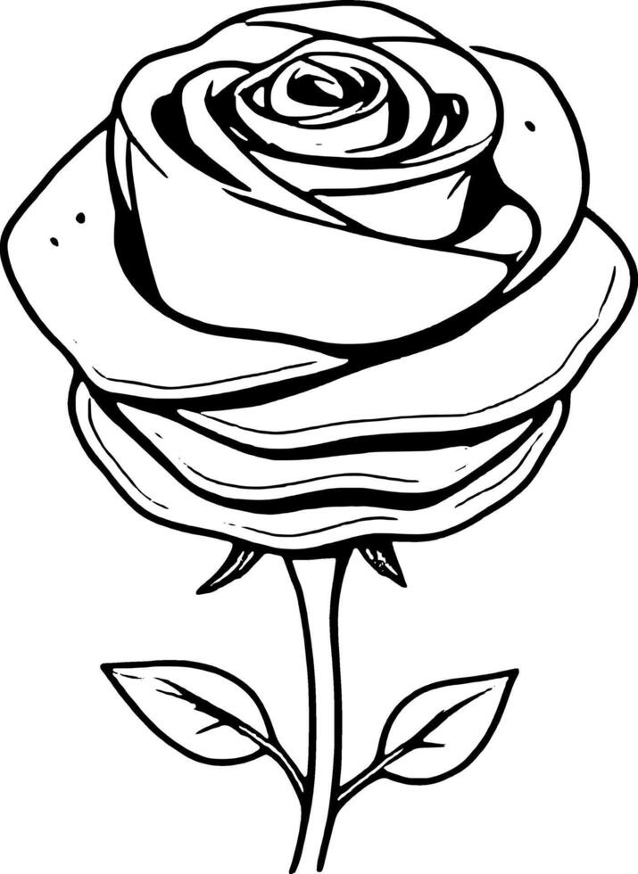 Elegant Rose Flower With Stem And Leaves In Black And White Outline Simple Illustration Style vector