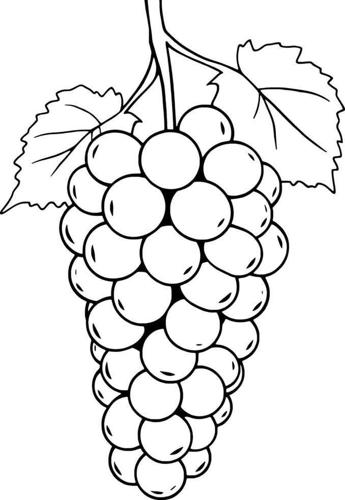 A Single Bunch Of Grapes With Leaves Line Art Illustration vector
