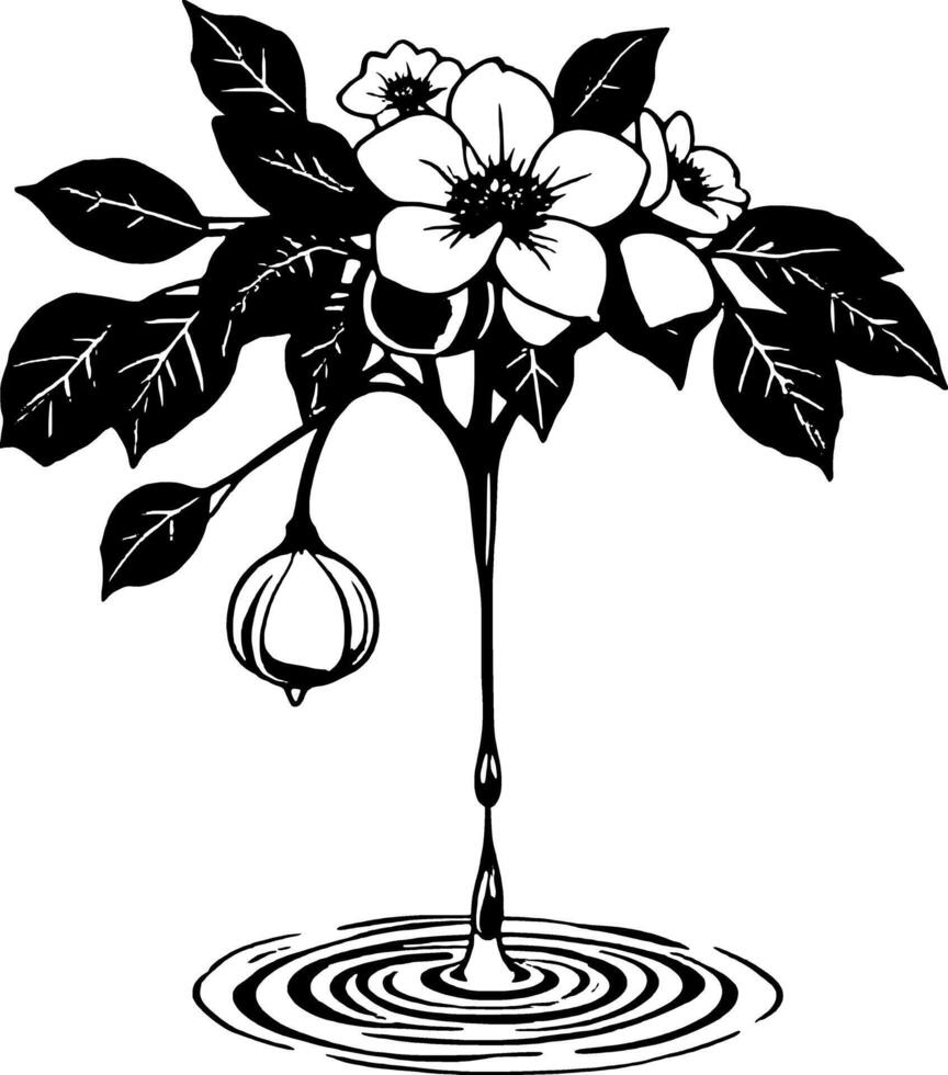Elegant Floral Illustration With Dripping Liquid And Concentric Circles In Black And White vector
