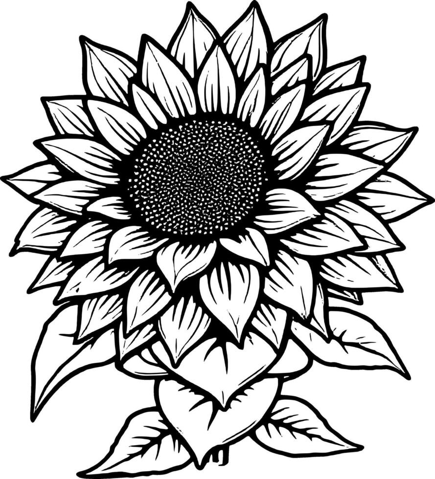 Detailed Sunflower Illustration with Bold Outlines and Intricate Seed Pattern Design vector