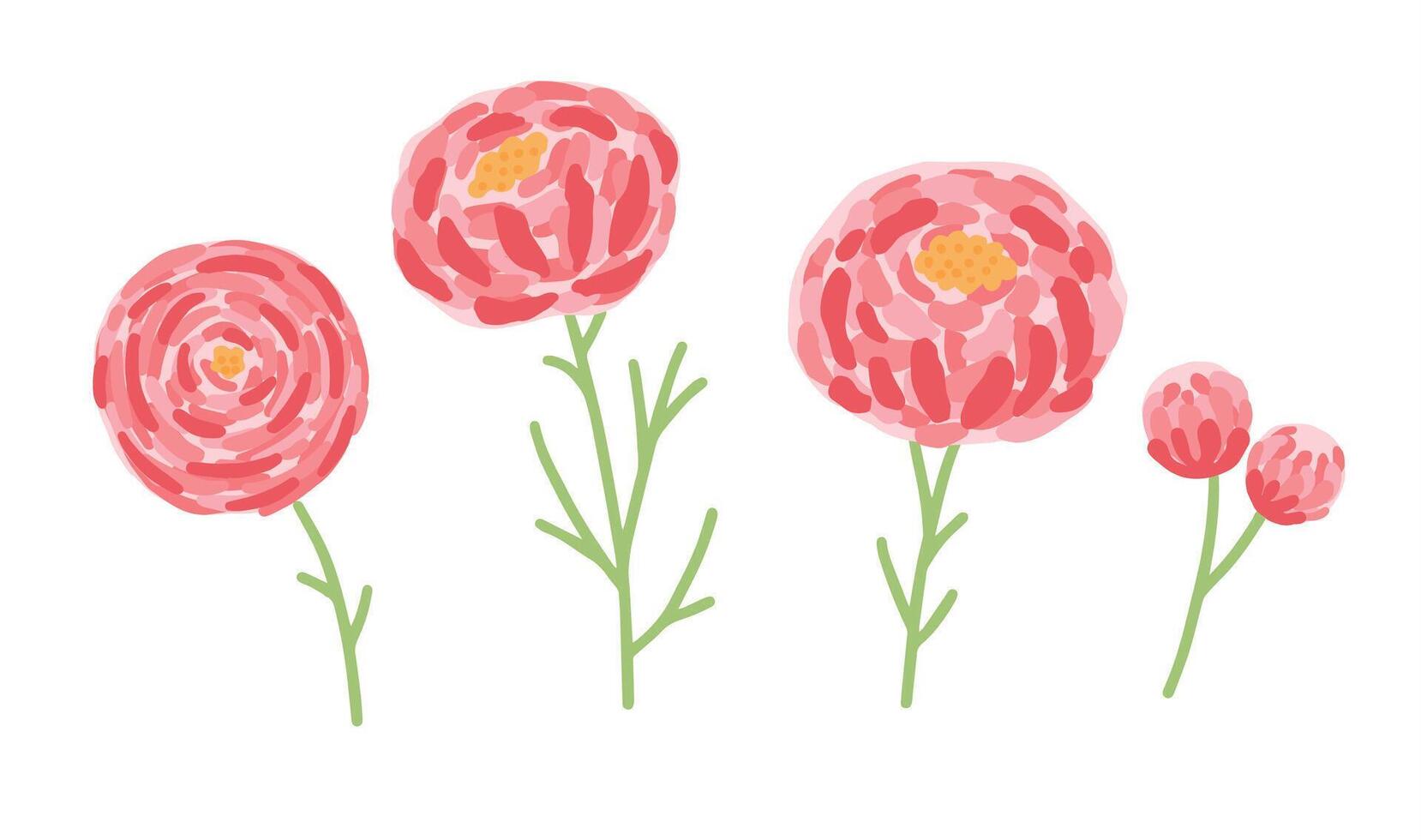 Pink peonies flower set isolated background illustration vector