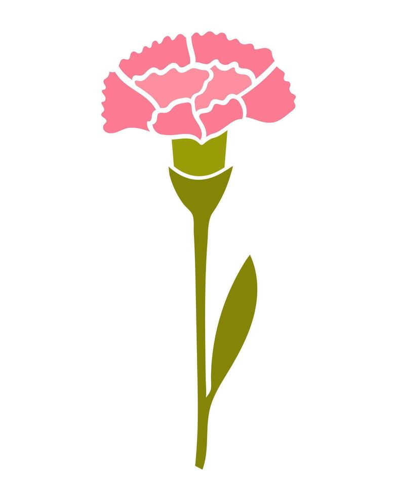 Pink carnations flower isolated in white background vector