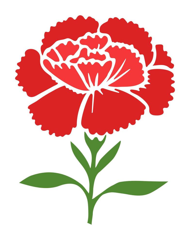 Illustration of beautiful red carnation on white background vector