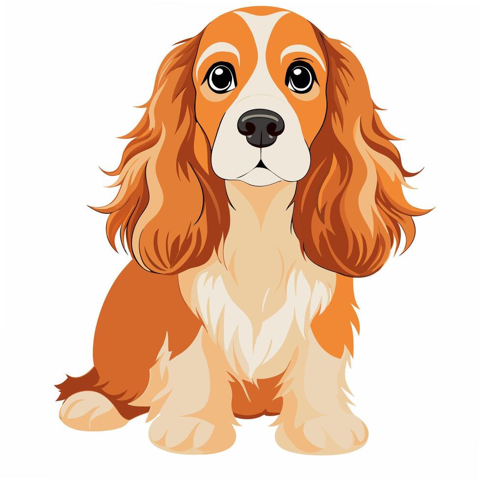 dog cocker spaniel standing. Isolated on white background. vector