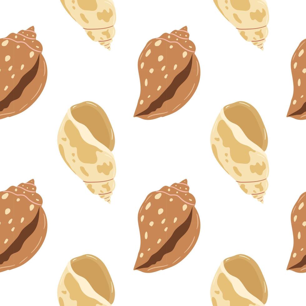 Decorative shell patterns on a white background create a unique coastal aesthetic vector