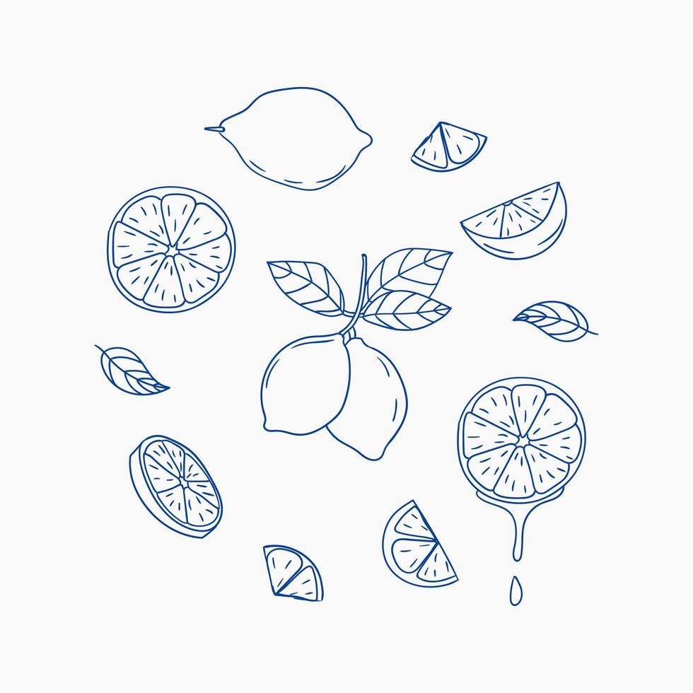 Vibrant lemon illustrations surrounded by slices and leaves in a minimalist design vector