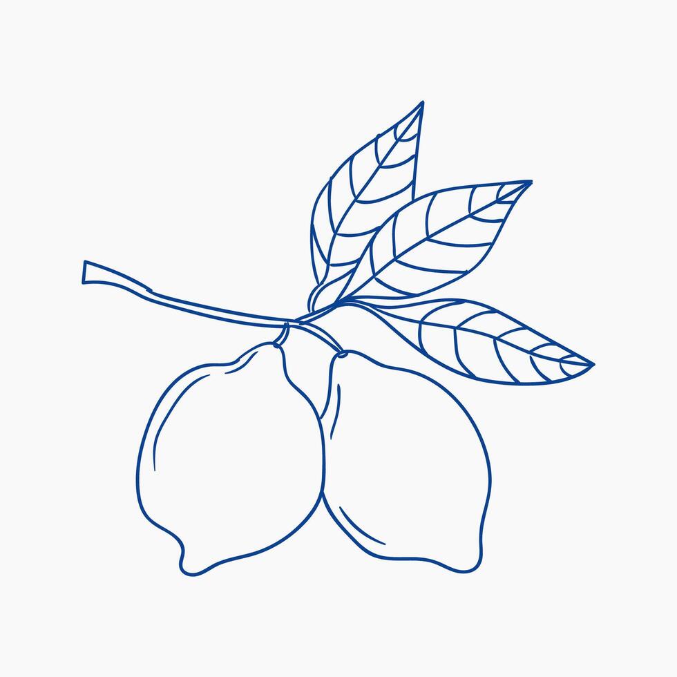 Lemon branch with ripe fruits and green leaves against a plain background vector