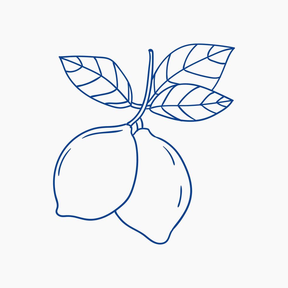 Fresh lemons hanging from the branch, showcasing vibrant green leaves in simple design vector