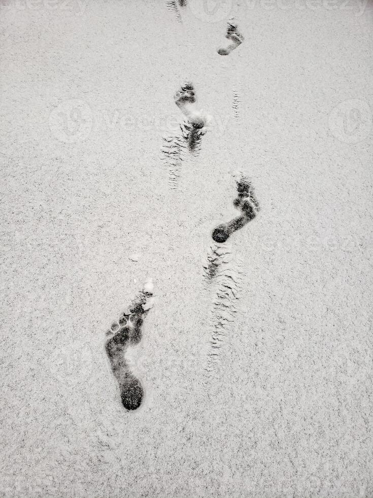 Top view of human barefoot footprints in fresh white snow. Minimalist winter scene symbolizing solitude, cold, and the quiet of nature. photo