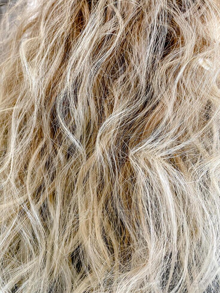 A macro close-up showing natural wavy blonde hair with soft curls and golden highlights. The image captures the texture and flow of healthy strands, perfect for beauty and design themes. photo