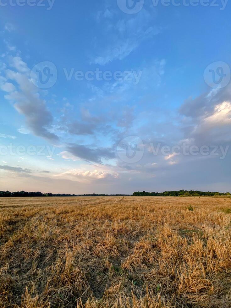 A scenic countryside view featuring a golden field under a dramatic sunset sky. The peaceful atmosphere, soft light, and vibrant clouds create a serene and atmospheric rural landscape photo