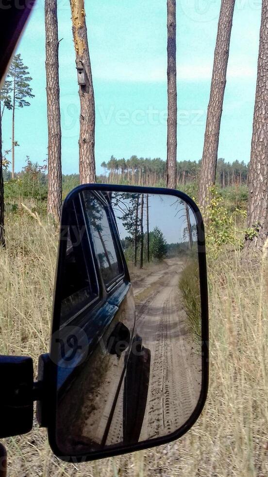 Off-road vehicle driving through forest path, rearview mirror reflection of dirt trail in pine woodland photo