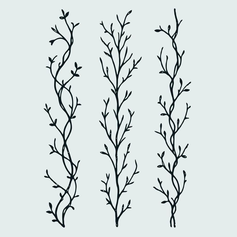AdoHand drawn branches Botanical drawing. Simple line art frieze, stems illustration. Black and White Meadow herbs. Stylized blooming twigs plants. Set of outline doodle floral sketch Leaves border vector