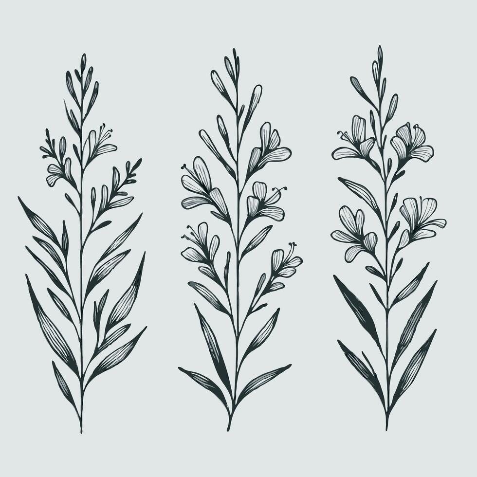 Hand drawn wild flowers Botanical drawing. Detailed line art retro Delphinium illustration. Simple Stylized wildflowers. Black and White stems. Set of outline herbs, Meadow leaves, doodle floral vector