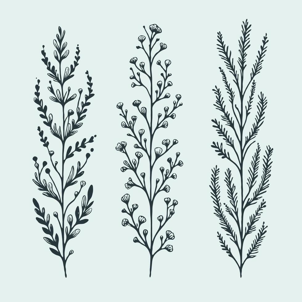 Hand drawn wild flowers pattern Botanical drawing. Simple line art grasses, leaf stems illustration. Black and White Meadow herbs. Stylized blooming plants. Set of outline doodle floral sketch Leaves vector