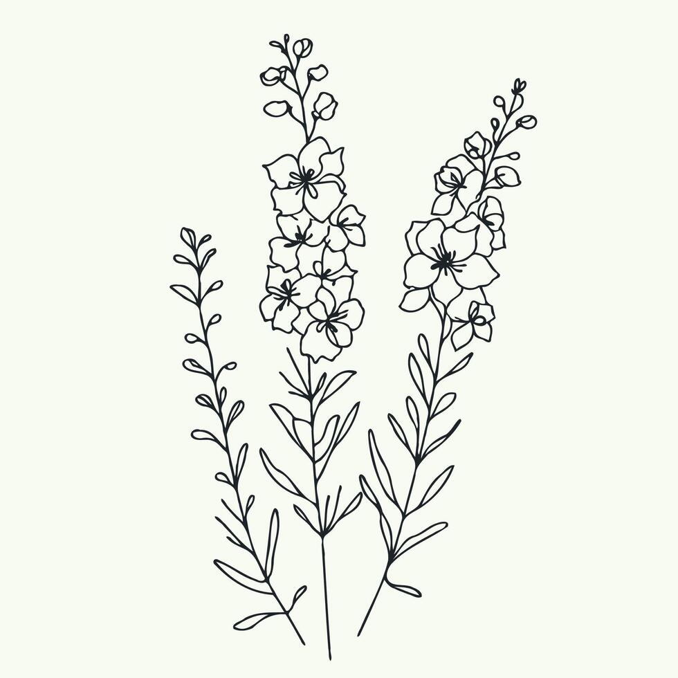 Set of outline herbs, Meadow leaves, doodle bloom floral. Hand drawn wild flowers Botanical drawing. Detailed line art Delphinium illustration. Simple Stylized wildflowers. Black and White stems vector