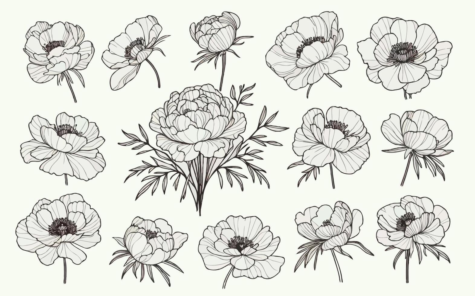 Set outline peony spring, doodle petals floral stems. Hand drawn Botanical drawing. Detailed line art peonies illustration. Simple Stylized anemone flowers. Black and White blossom sketch vector