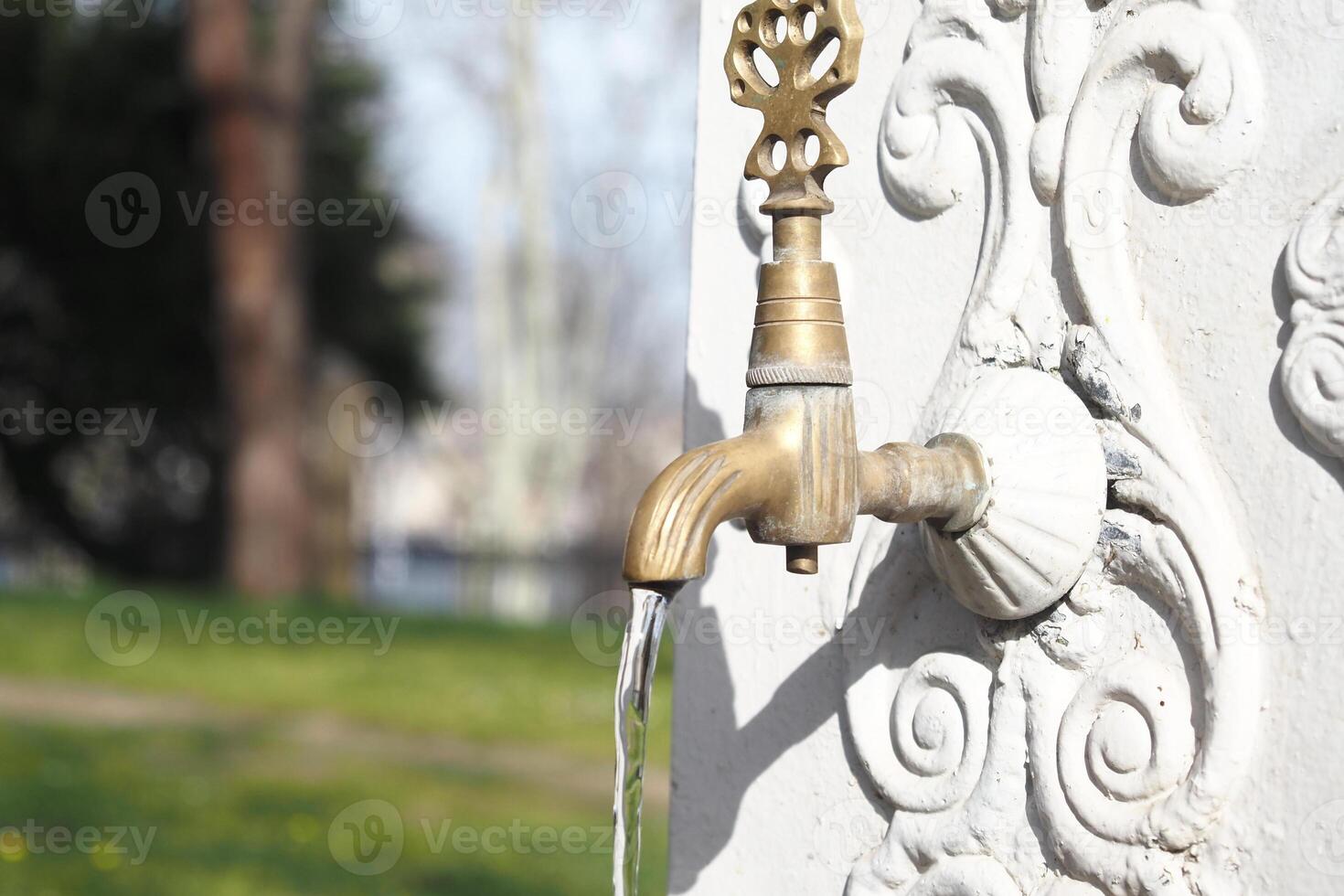 Water flows from a vintage brass tap in a serene park setting photo