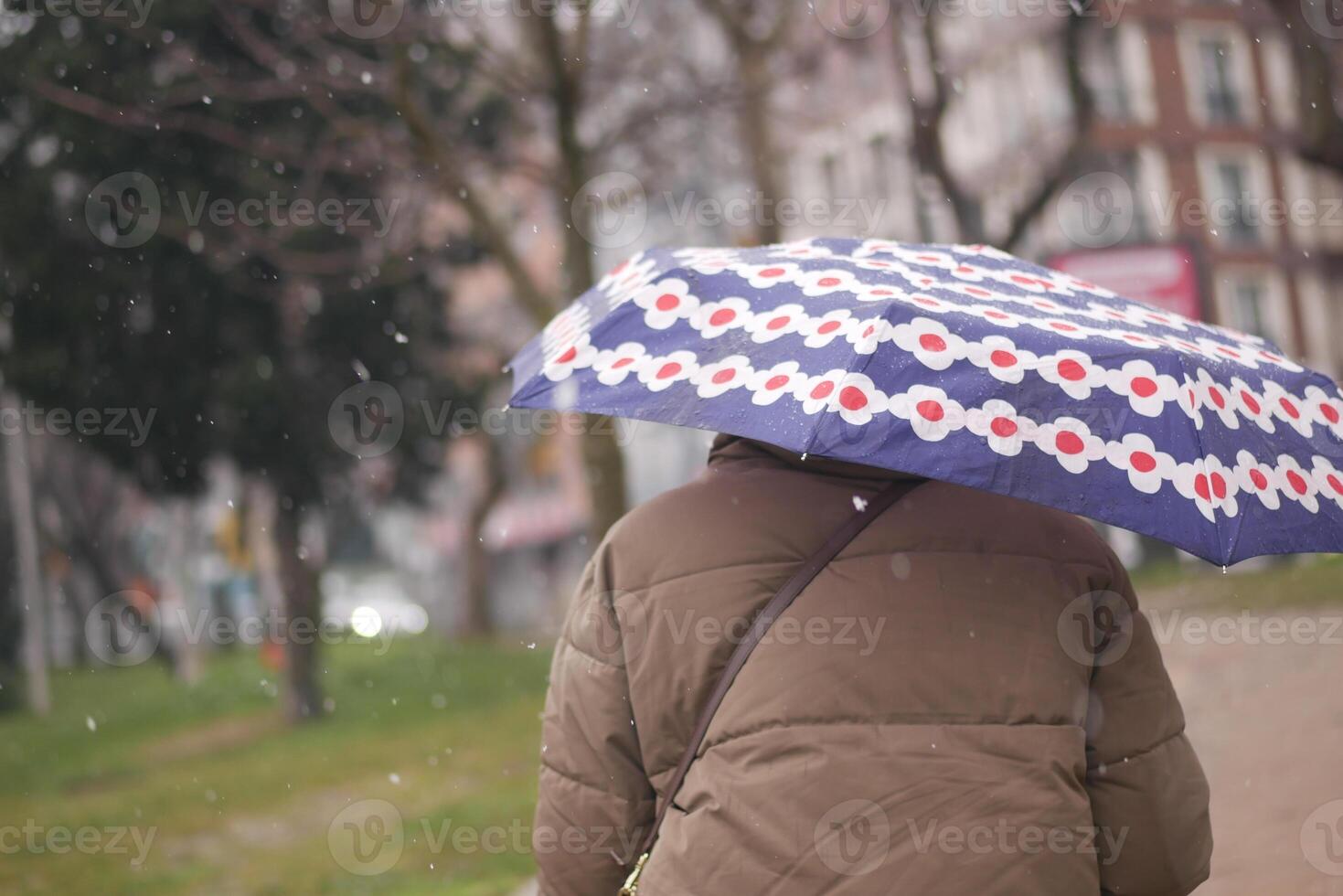 Person walking under umbrella during snowfall in urban park photo