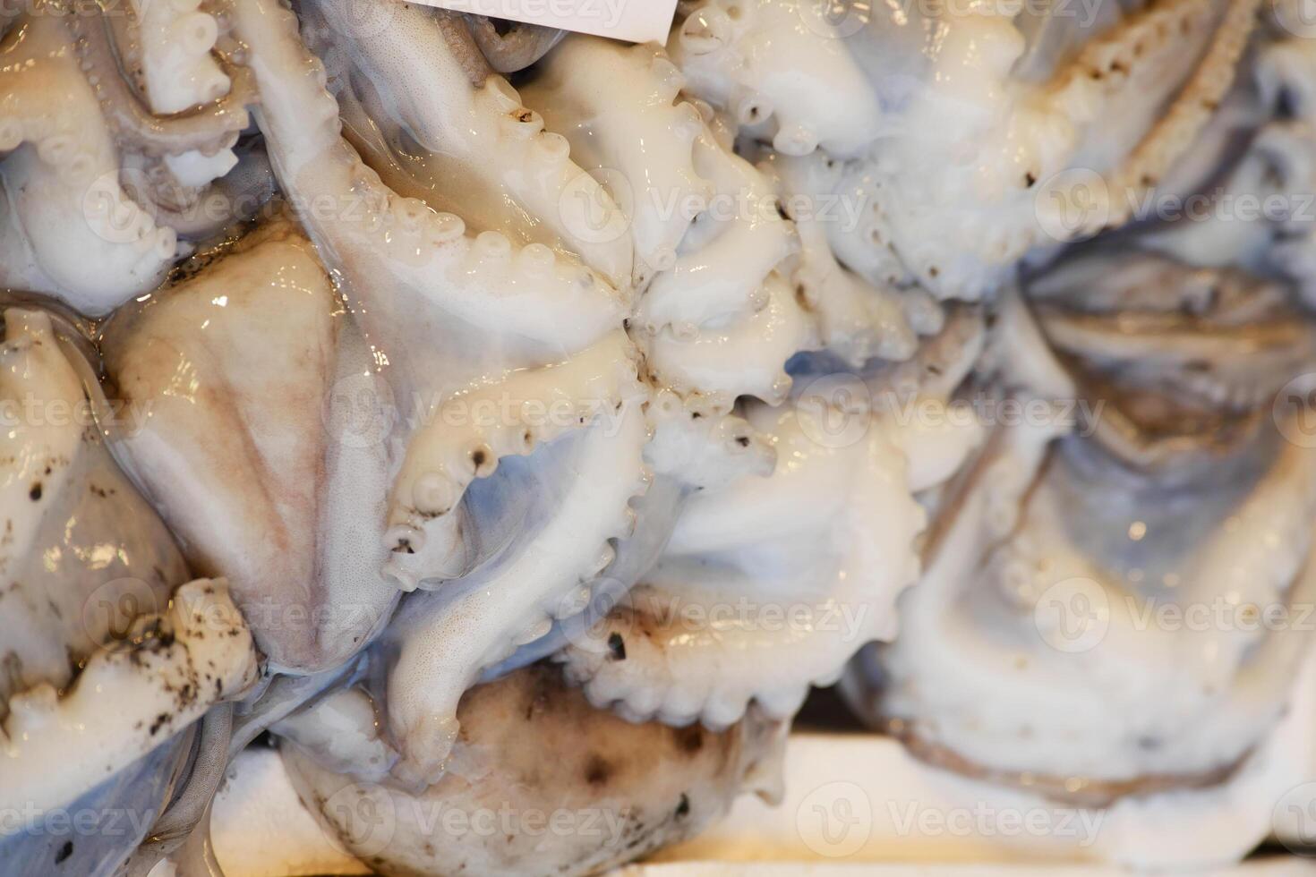 Freshly prepared octopus at a local seafood market in the city photo