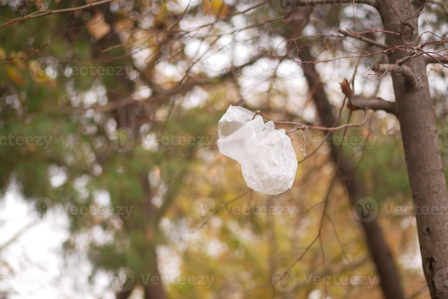 Plastic bag caught in tree branches on a cloudy autumn day photo