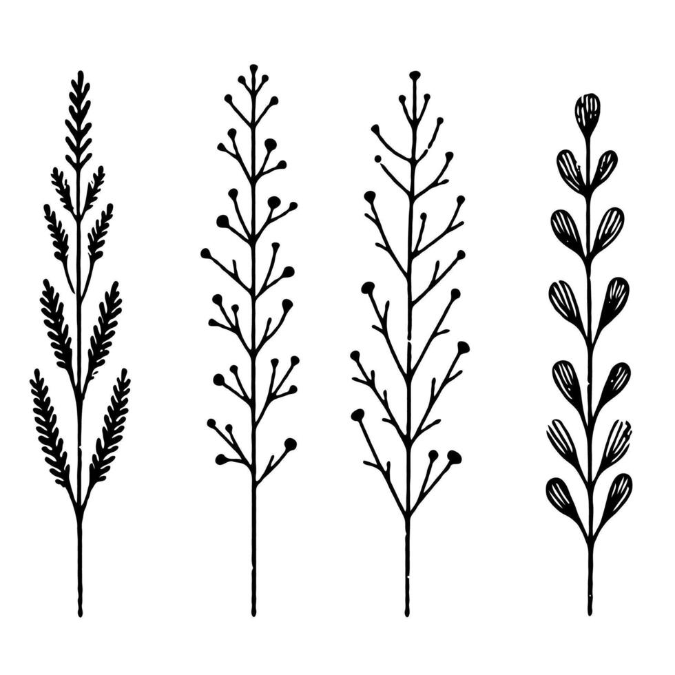 Hand drawn branches Botanical drawing. Simple line art frieze, stems illustration. Black and White frame Meadow herbs. Stylized blooming twigs plants. Set of outline doodle floral sketch Leaves border vector