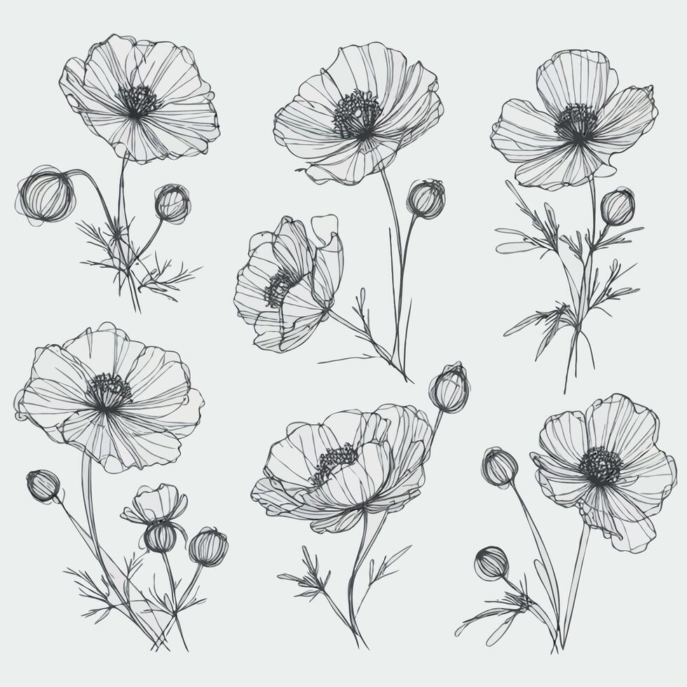 Hand drawn wild flowers graphic Botanical drawing, line art poppies illustration. Black and White vintage Meadow poppy stems. Simple Stylized blooming plants. Set of outline doodle floral sketch vector