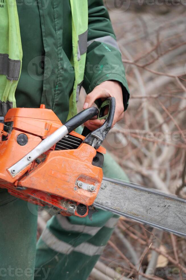 Worker operates chainsaw for tree trimming in urban area photo