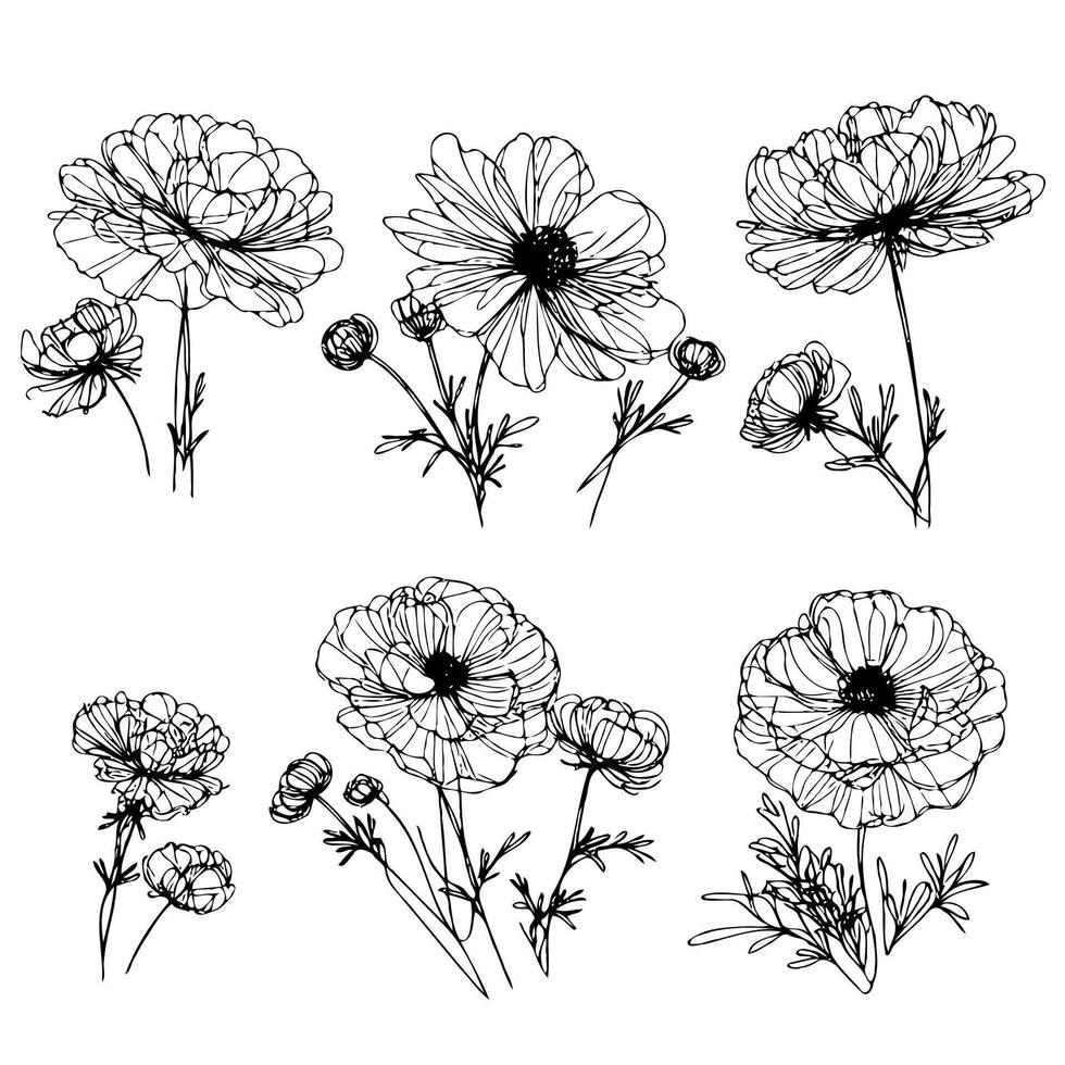 Floral Outline Collection Floral Outline Collection