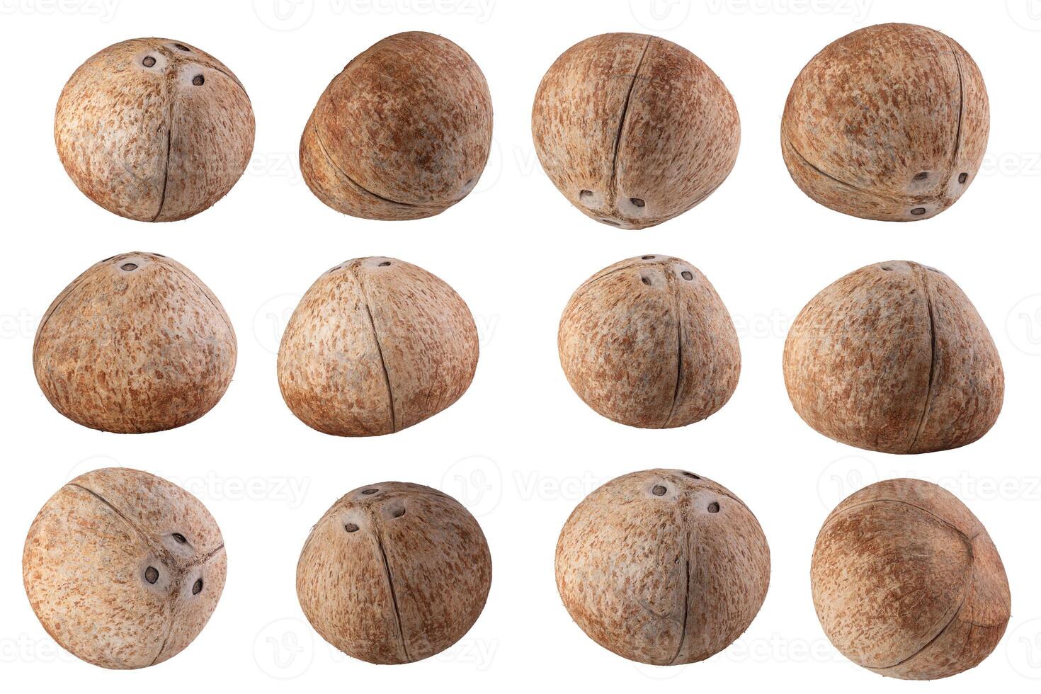Collection of coconuts Isolated on a white background photo
