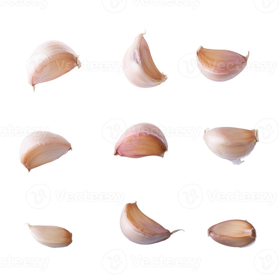 Collection of Close up Garlic isolated on a white background photo