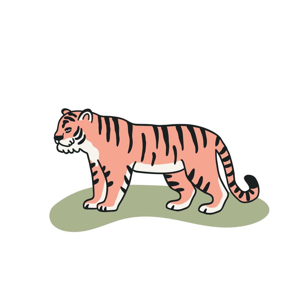Tiger illustration in minimalist style on white background, flat illustration. vector