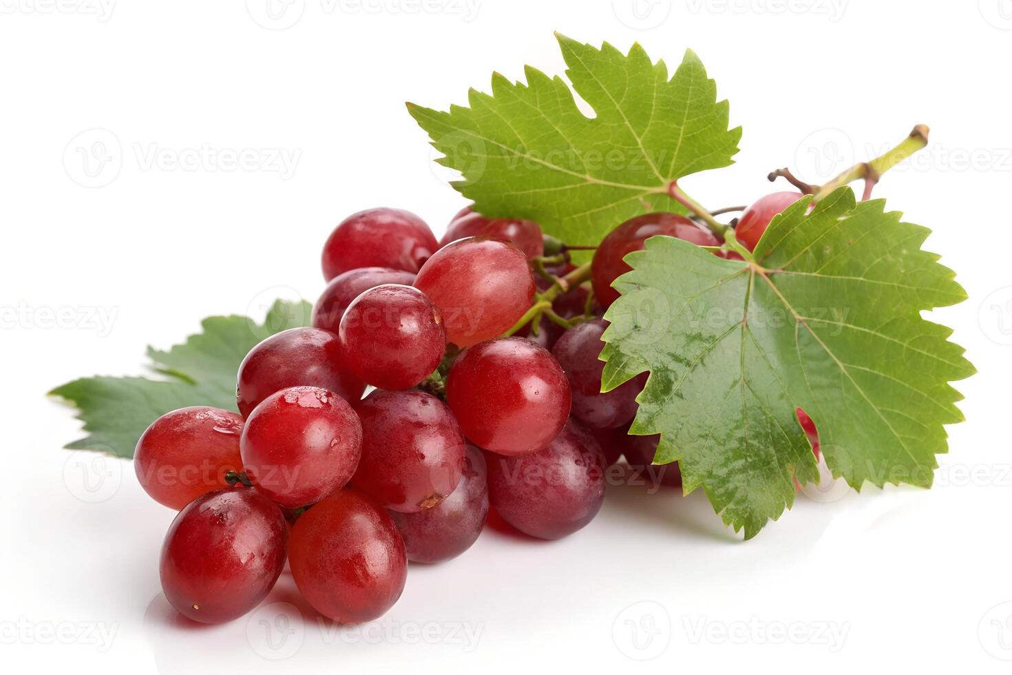 Bunch of red grapes with fresh green vine leaves isolated on white background photo